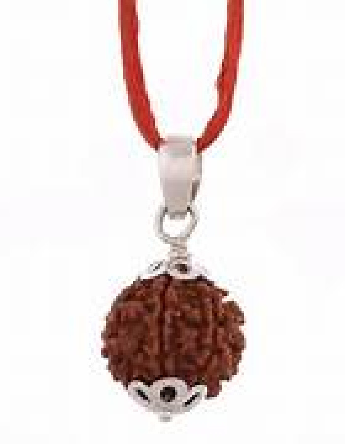 6 Mukhi nepalese rudraksha