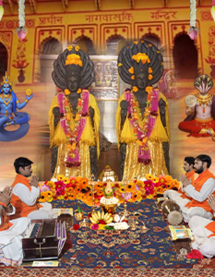 Kalsarp dosh (Fault) removal pooja